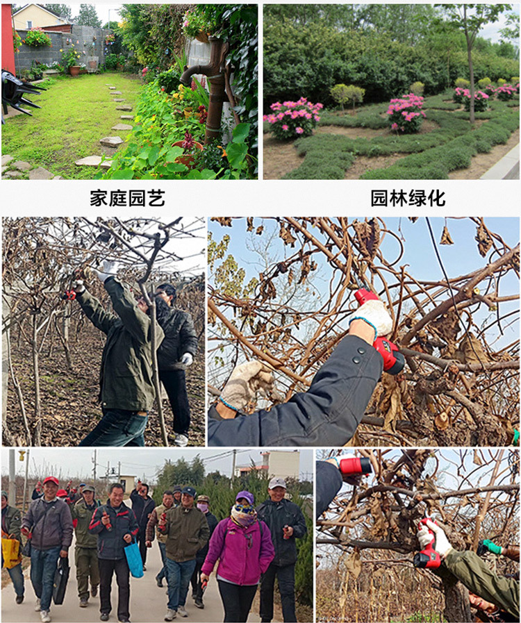 未標題-1_05.jpg