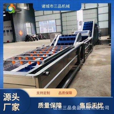 全自動枸杞清洗機(jī) 鮮花生氣泡清洗機(jī) 果蔬大型清洗機(jī)流水線