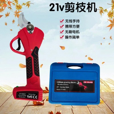 樹木枝條修剪設備鋰電池園藝手持式花枝剪 充電式加長桿剪枝機