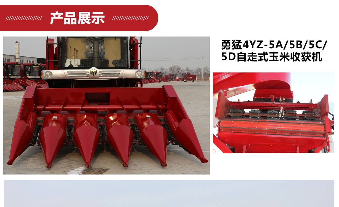 4YZ-4ABC(國二)-3產品展示_01