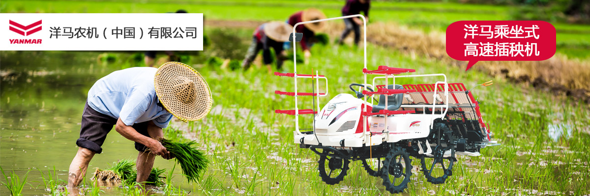 201802061140434746.jpg!shopbanner 201802061140434746.jpg!shopbanner.jpg