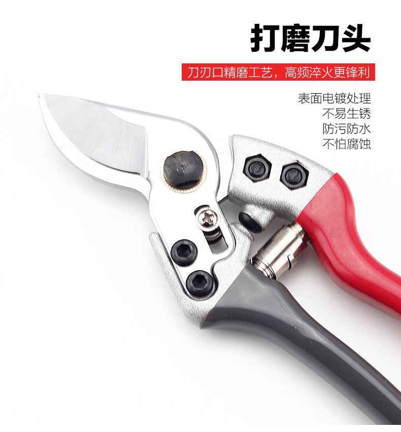 園林剪刀本色_09.jpg