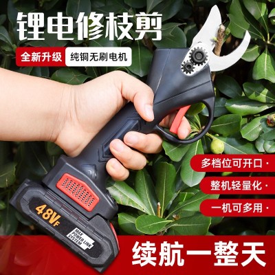 跨境爆款鋰電修枝剪便攜式家用鋰電剪果樹剪充電式園林電剪刀批發(fā)
