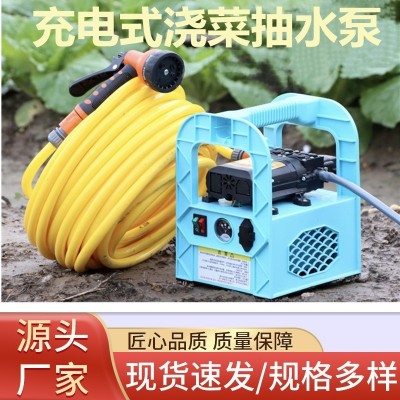 充電式抽水泵手提高壓噴霧農用打藥澆菜抽水機家用洗車澆花沖肥器