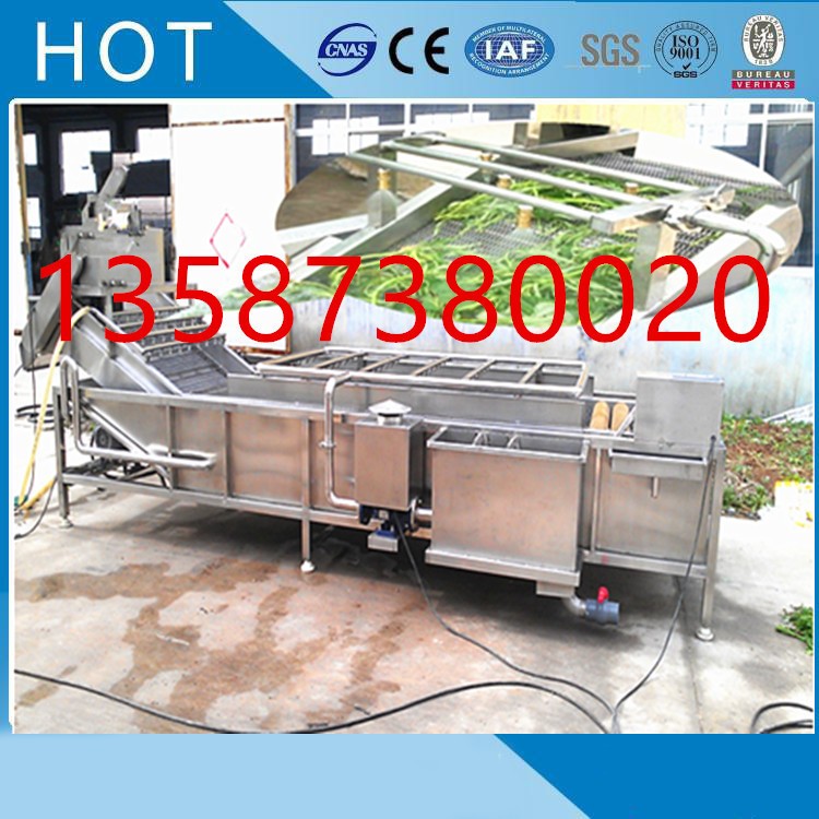 斜沖式果蔬清洗機高壓水噴淋循環毛刷滾筒氣泡清洗機渦流式清洗機