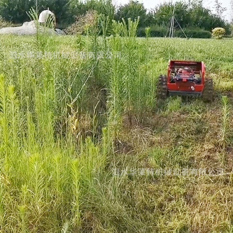 智能家用遙控割草機 小型果園雜草修剪機 履帶河灘山坡草叢修剪機