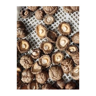 多層網(wǎng)帶式烘干機(jī),食用菌類烘干機(jī)