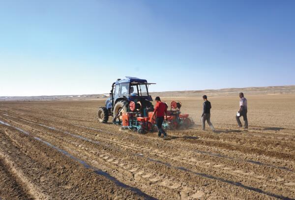 大博2BQP-6氣吸式精量鋪膜點播機