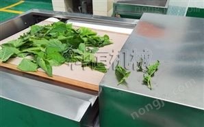 微波桑葉烘干機(jī)