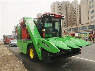 嘉駿4QZ-10型自走式青飼料收獲機(jī)