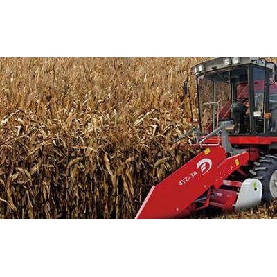 大豐王4YZ-3A自走式玉米聯合收獲機