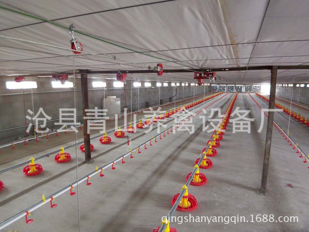供應養雞水線 全自動養雞水線 肉雞養殖設備 平養雞料線 水線
