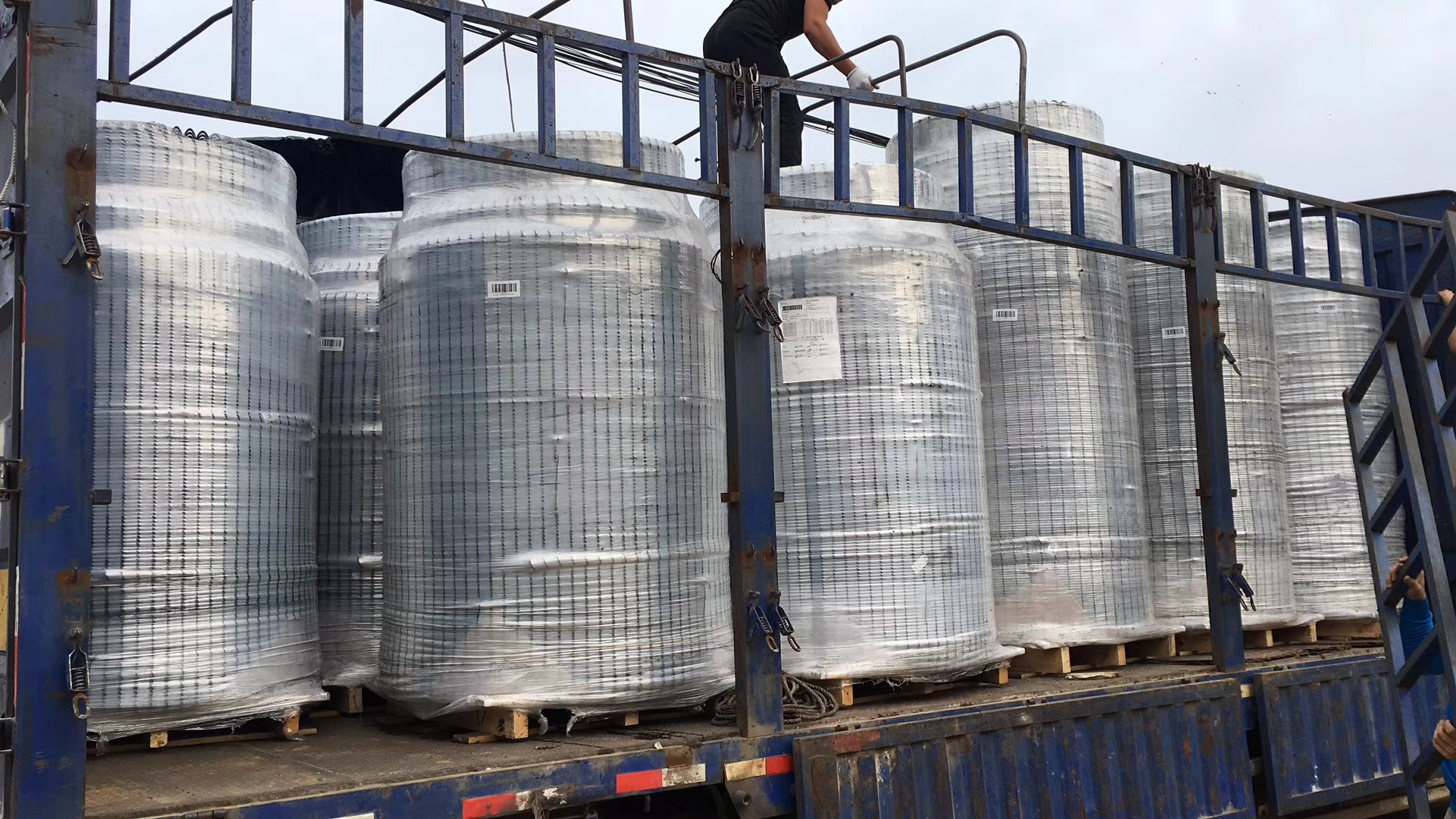 自動料線 雞舍養雞料線 養雞自動料線 肉雞養殖設備 平養雞料線