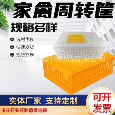 雞用運(yùn)輸籠雞用周轉(zhuǎn)箱雞運(yùn)輸籠 雞鴨周轉(zhuǎn)筐 成雞周轉(zhuǎn)箱 運(yùn)輸籠具