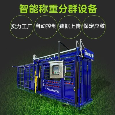 智慧牧場稱重分群設(shè)備 牛場防疫保定設(shè)備 自動控制牛只保定枷