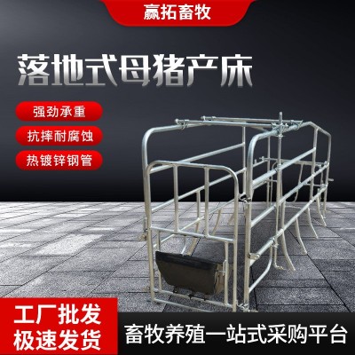 廠家批發(fā)落地式母豬產(chǎn)床產(chǎn)保兩用落地式單體豬用設(shè)備母豬分娩床