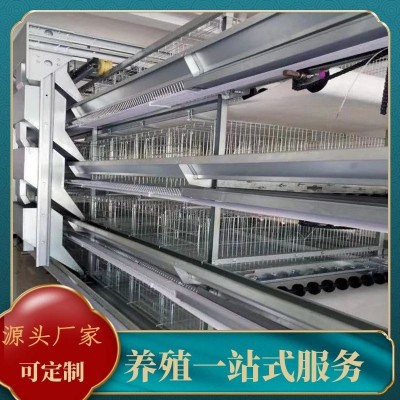 廠家批發(fā)全自動小層疊蛋雞養(yǎng)殖籠具籠養(yǎng)雞用設備三層四層蛋雞籠