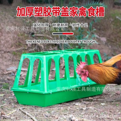 養(yǎng)殖設(shè)備自動喂雞鴨槽長型喂雞喂鵝喂鴨塑料喂水槽家用飼料通加厚