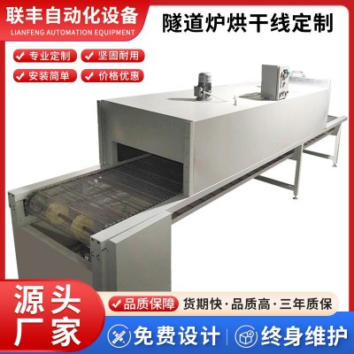高溫烘烤隧道式機械設備隧道烘干線烘干設備輸送機流水線皮帶廠家