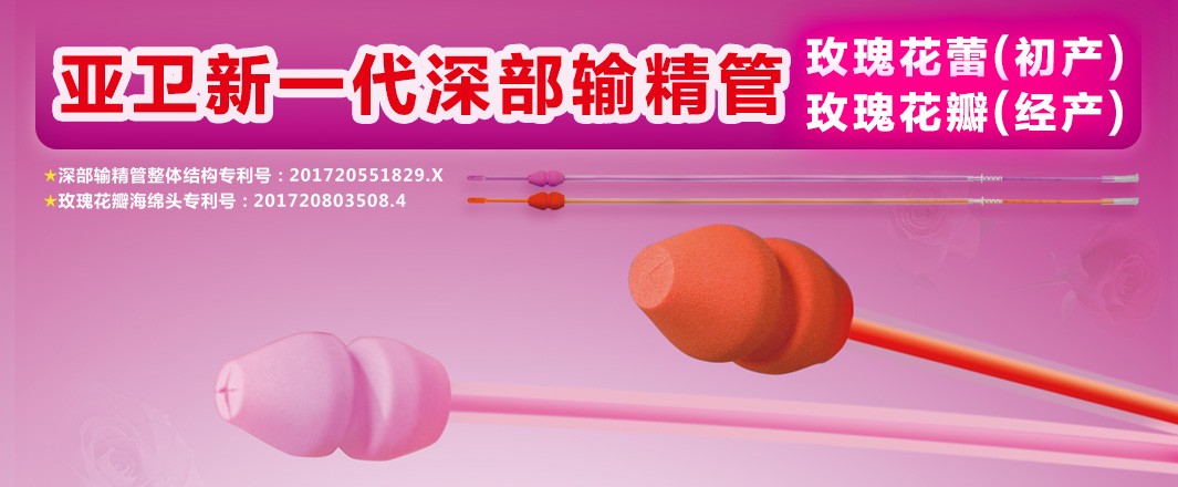 新一代玫瑰花瓣（經產） 玫瑰花蕾（初產）深部輸精管