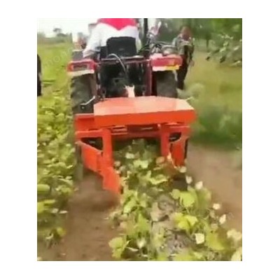 綠豆割曬機視頻2