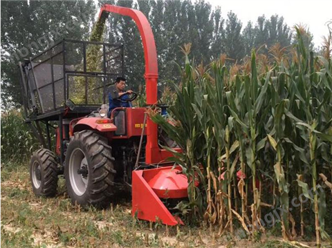 背負(fù)式青儲(chǔ)機(jī)6