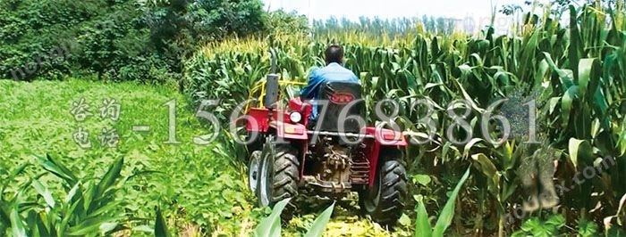 放堆式玉米收割機