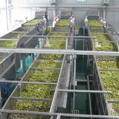 恒立宇 不銹鋼食品級 芒果汁加工設(shè)備 原漿生產(chǎn)線 1T-10T/H