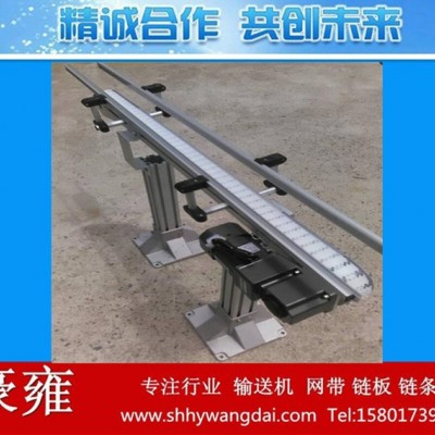 制作肉類食品傳送線 柔性輸送線 吹塑全自動化生產(chǎn)線 網(wǎng)鏈輸送機