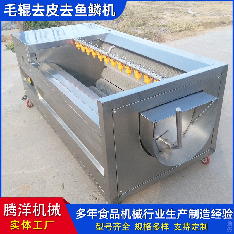 不銹鋼毛輥清洗去皮機(jī) 土豆果蔬去皮清洗機(jī) 羊頭羊蹄清洗機(jī)器