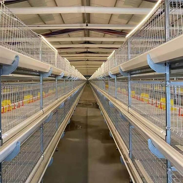 肉雞籠養設備全自動肉雞籠養雞設備 養殖場可用管理方便