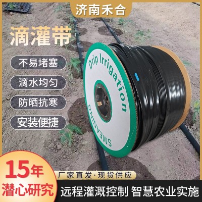 貼片滴灌帶小流量滴灌管雙孔滴管帶玉米單產提升農用灌溉滴灌帶