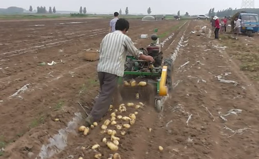 4US-80現場 4US-80現場