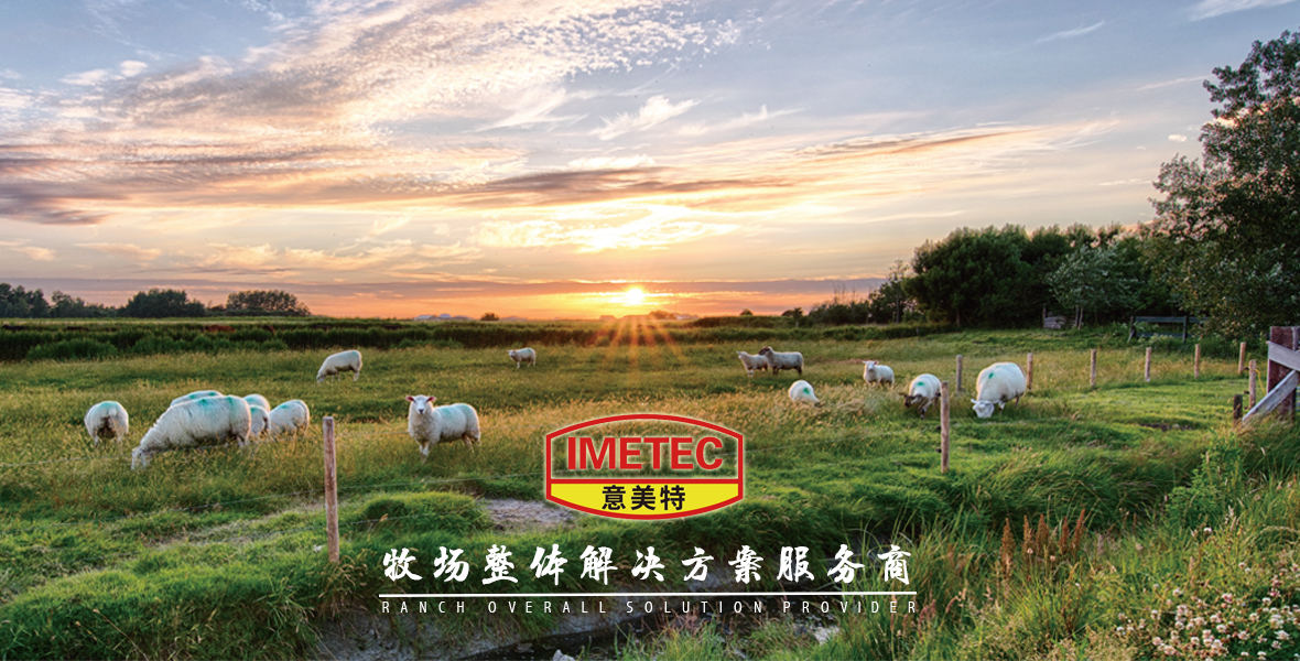 牧場整體解決方案服務商