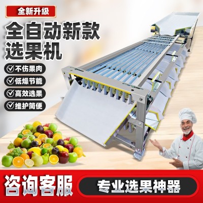 全新全自動選果機分選機李子圣女果金桔櫻桃檳榔百香果水果分選機 1臺