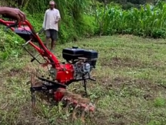 泊爾地主家花巨資買了臺中國耕地機(jī)，干活效率超過20頭牛