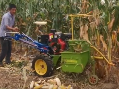 農(nóng)民大叔發(fā)明的玉米收獲機(jī)，1天可耕地50畝，300塊錢直接造一臺！