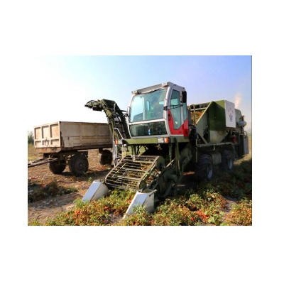 威明德4FZ-35自走式番茄收獲機