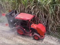 神奇的農機設備，修理甘蔗的，第一次見