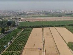 全球連線｜無人農機助力農業智能化發展