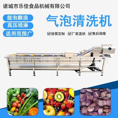中草藥清洗機(jī) 黨參太子參去泥清洗設(shè)備 高壓噴淋黃芪清洗流水線