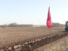 農業機械化為春耕生產“提速”